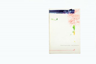 cahier d'artiste / Christine Streuli, Pro Helvetia (Herausgeber), Beat Wismer, Pro Helvetia, collection cahiers d'artistes, 2004